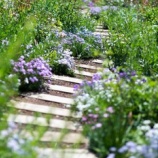 『弟の無神経さ』の画像