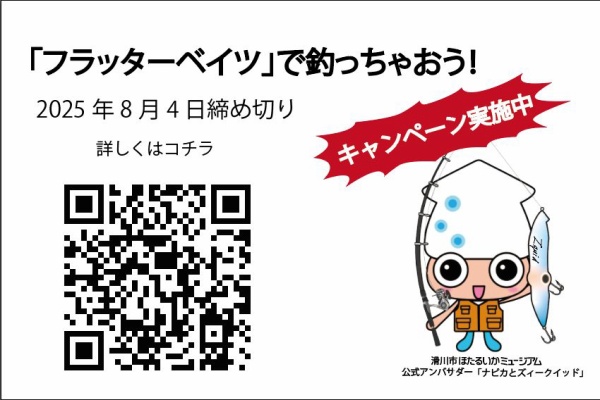 フラッター日誌 - フラッターNEWS