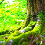 『人とのつながりを感じる『インラケチ』という考えかた』の画像