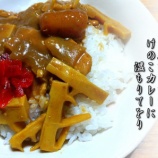 『『みちのくあじさい園物語り』の刊行に向けて』の画像