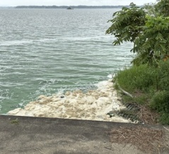 泡とアオコと霞ヶ浦と