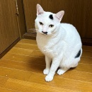 明暗分かれました＆エビピラフ