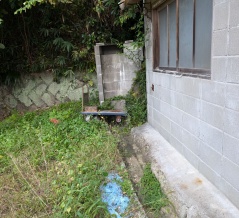 10.4「町内ドブ掃除・我が家の危険木剪定」