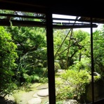 りんご婆のおもいつ記