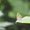 山麓の公園