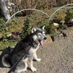 観音裏黄昏備忘録