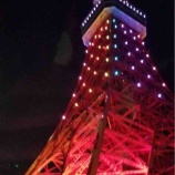 『東京タワー』の画像