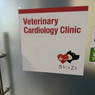 ぱずたん、心臓の専門医で心臓エコーを受ける。