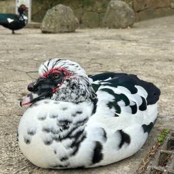 カイエファミリー接待中ふたたび