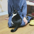 男・モン吉🙉病院へ🌸