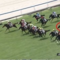 7/5小倉 3歳未勝利芝1800m【エンスエーニョ《6戦目》】