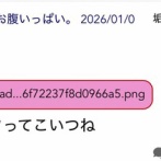 【悲報】アイドルオタク、盗撮され5ちゃんに晒される被害に→書き込んだオタクを即日開示請求するｗｗｗｗ