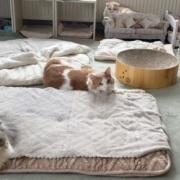 全員そろってのカメラ目線写真を撮りたい！