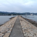 和歌川のキス釣り