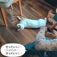 昨日寒くてビックリした！と、キラキラしずく作りました。