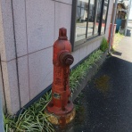 偏気庵のtosoyan。今日も暢気だ。