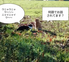 ちょっとそれは困る