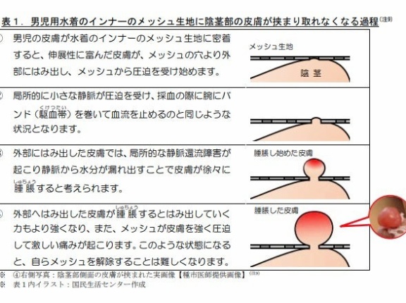 【警告】男児のおち●ちん、水着の中で『凄まじい状態』になる…