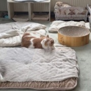 全員そろってのカメラ目線写真を撮りたい！