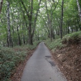 『熊沢山？　－小金沢連嶺に向かうも雨で早々に撤退―』の画像