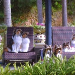 メロディ＆ミニーの写真館