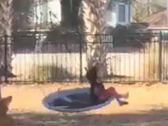 女の子が庭のブランコに乗っていた。ちょっと乱暴じゃない？ → 相棒はこうします…