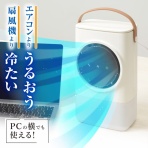 Computer with Audio/Visual