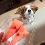 たかはし美容室のブログ