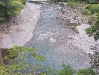 夕立☔で活性上がった⤴️