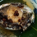 X民「婆さんが一人で営む料理屋、品書きも注文も無いけど何が出てくるんだ？」→神展開へｗｗｗｗｗｗ