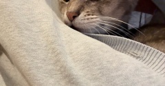 カーディガンに包まれて嬉しそうなぼくちん