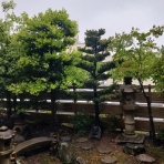 爺のF3Aブログ