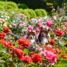 智光山公園①