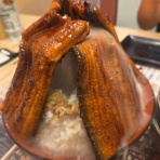 　　スイミングインストラクター　　  　馬場浩希の活動日記