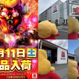 『10/11　マルハン鹿浜　ニャンギラスX』の画像