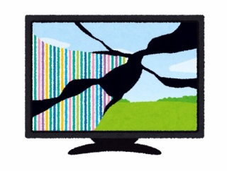 「留守中に3歳児がテレビを壊した!?」→景色のスクリーンセイバーが偶然そう見えただけだった