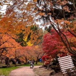 くぐる鳥居は鬼ばかり