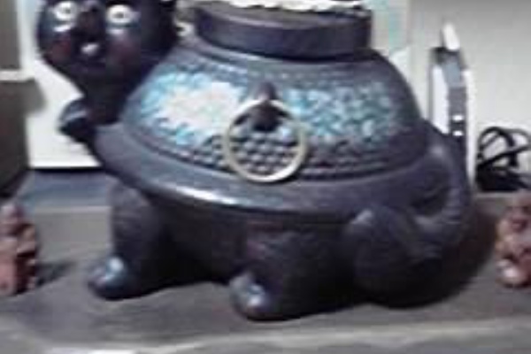 ﾀﾇｷｳｫｰｶｰｽﾞ野生動物探索日記 たぬきグッズ