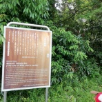 合気道月光流道場長・チョコ助と伊東健治の公式ブログ　「骸(むくろ)をつけていま一戦(ひといくさ)せん！！」