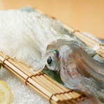 はかた市　大名店ブログ