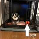 完食してるのに・・・(~_~;)