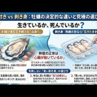 時短⏰要約版｜牡蠣の「殻付き」と「剥き身」の違いと【選び方】