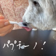 ˤθ