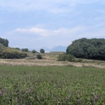 Ancient Botanical Garden