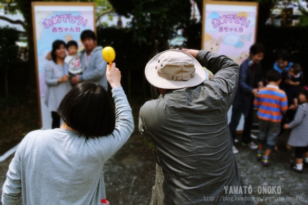 土佐のいごっそう やまとおのこ 赤ちゃん会