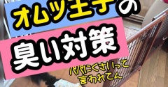 夏場はヤバい。