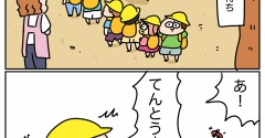 バス