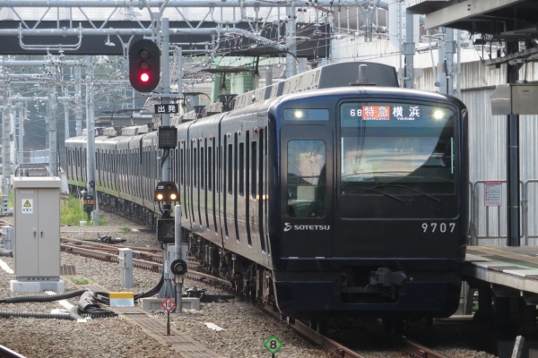 151a1754.jpg