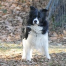 降雪時に運転したら犯罪者？