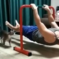 体重を使った筋トレをしていたら…猫がスパルタしてくるとき